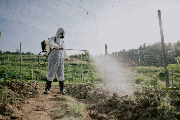 Best Ant Control Services  in Lutcher, LA