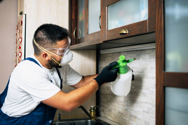 Best Local Pest Control Services  in Lutcher, LA