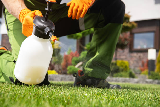 Best Pest Removal Services  in Lutcher, LA