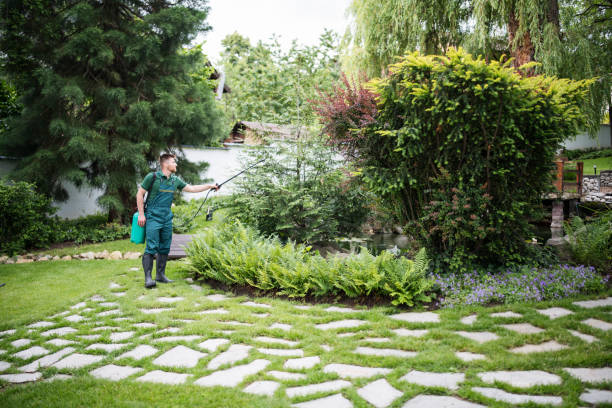 Best Pest Prevention Services  in Lutcher, LA