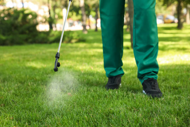 Best Flea Control Services  in Lutcher, LA