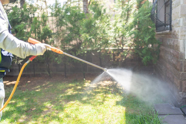 Best Emergency Pest Control  in Lutcher, LA