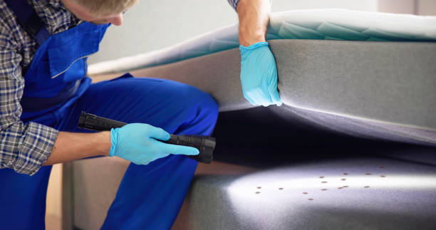 Trusted Lutcher, LA Pest Control Experts