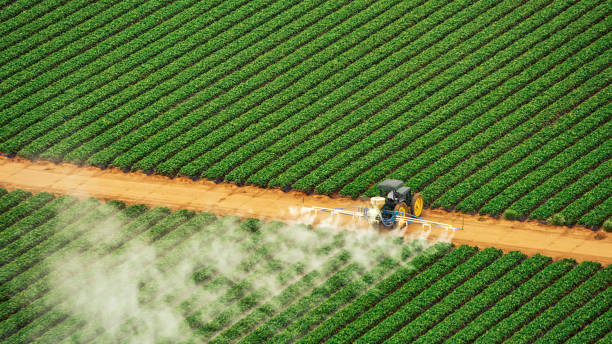 Best Cockroach Control Services  in Lutcher, LA