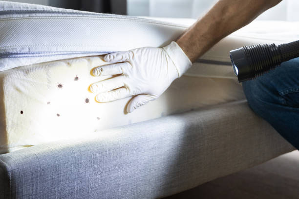 Best Pest Prevention Services  in Lutcher, LA