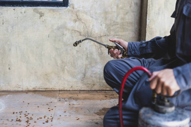  Lutcher, LA Pest Control Pros